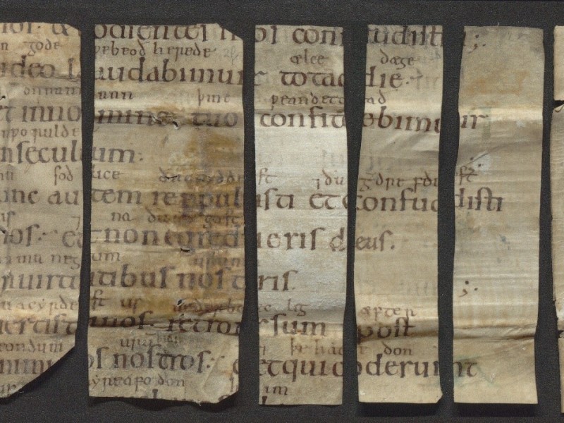 A princess’s psalter recovered? Newly discovered fragments of an Old English glossed psalter